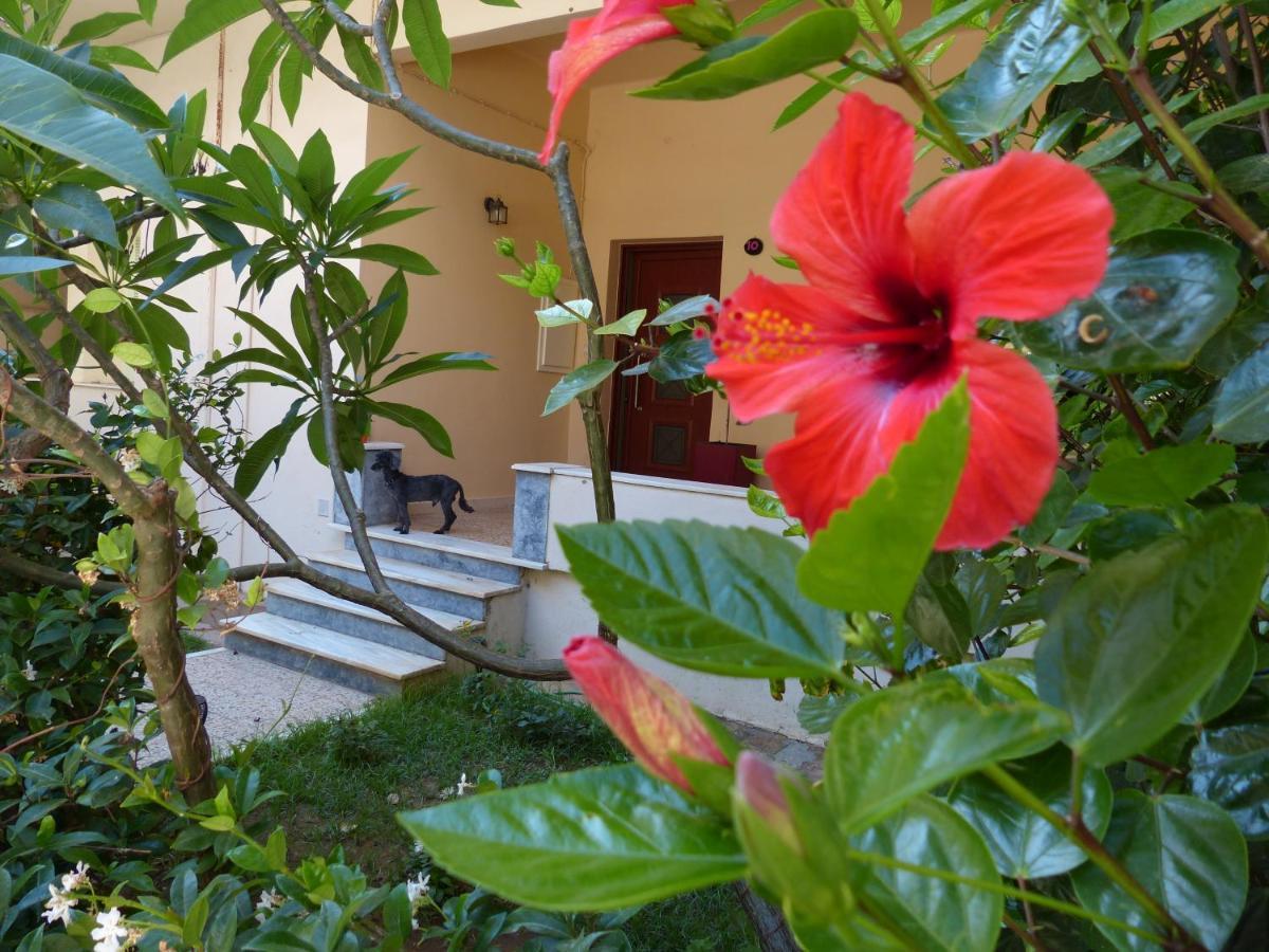 Avgi Garden House Chania With Private Entrance Екстериор снимка