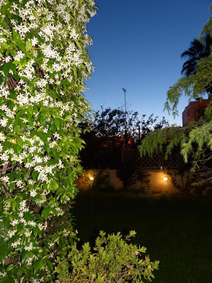 Avgi Garden House Chania With Private Entrance Екстериор снимка