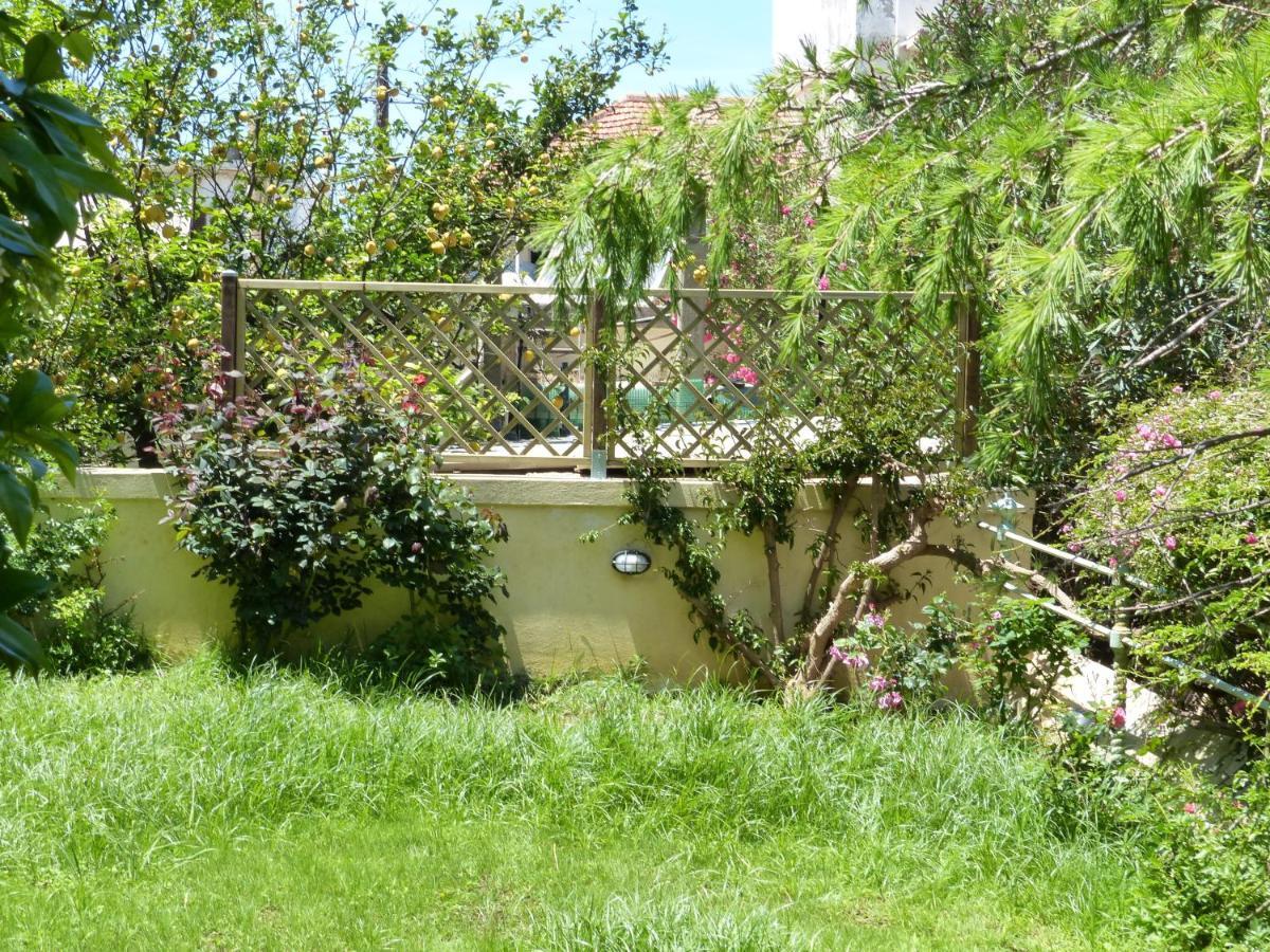 Avgi Garden House Chania With Private Entrance Екстериор снимка